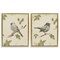 Stupell Industries Neutral Bird Scene 2pc Floating Frame Set, design by Lanie Loreth